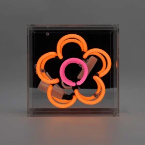 Neonlampa Box Mini 'Daisy' Orange
