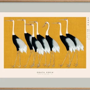 Inramad poster Ogata Korin - Japanese Red Crown Crane