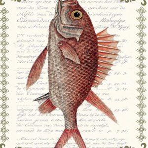 Keramikfat Redfish